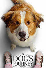 A DOG'S JOURNEY 